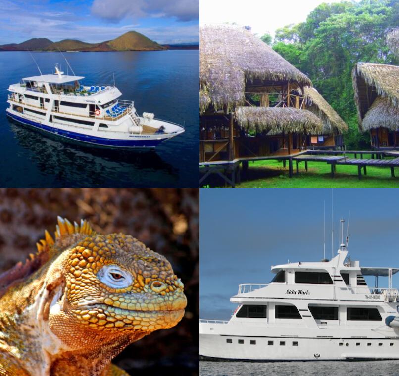 Galapagos Lastminutes & Jungle Tours