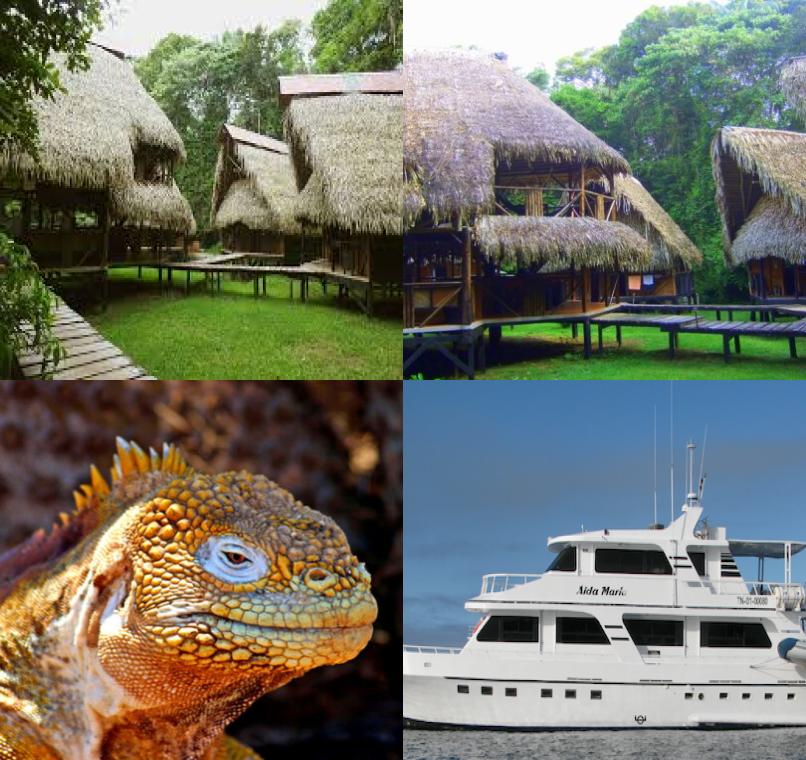 Galapagos Lastminutes & Jungle Tours