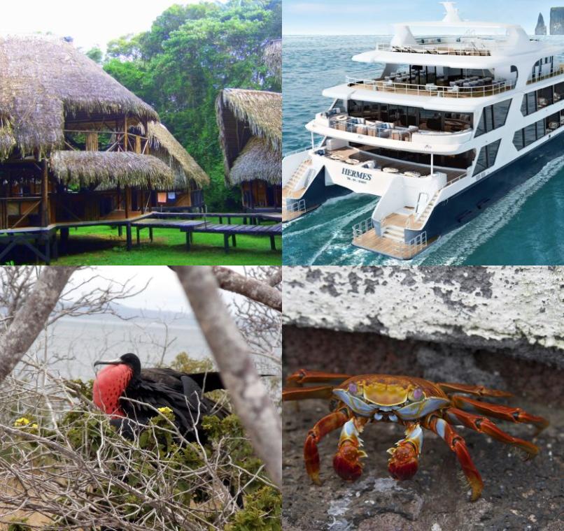 Galapagos Lastminutes & Jungle Tours