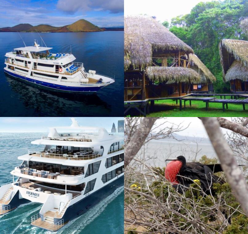 Galapagos Lastminutes & Jungle Tours