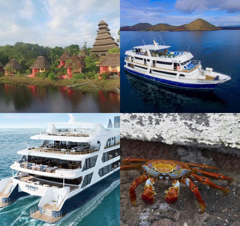 Galapagos Lastminutes & Jungle Tours