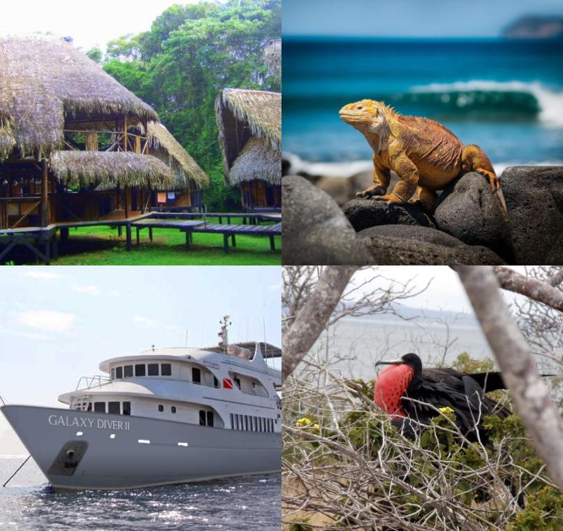 Galapagos Lastminutes & Jungle Tours