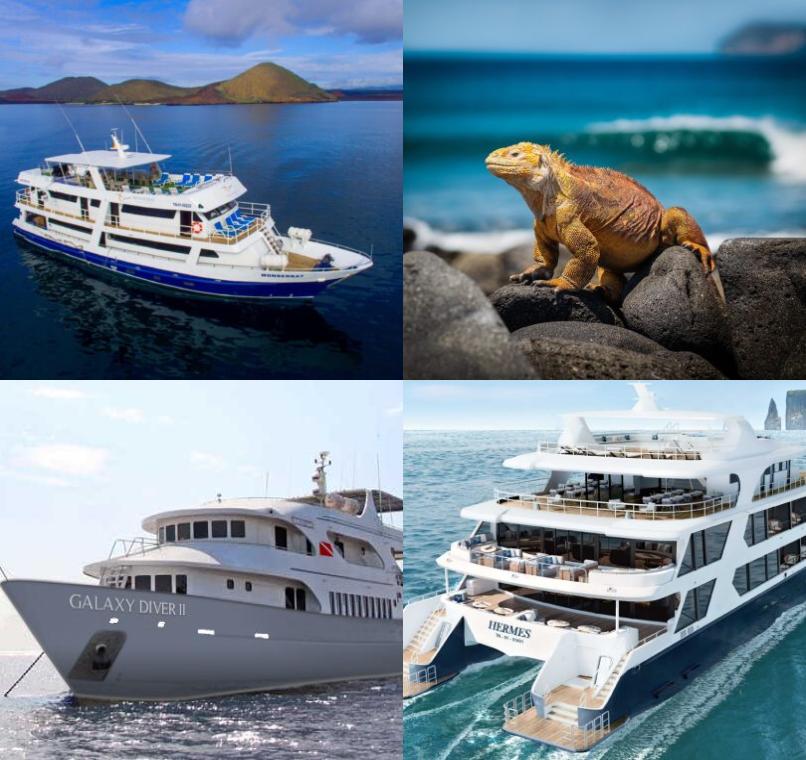 Galapagos Lastminutes & Jungle Tours