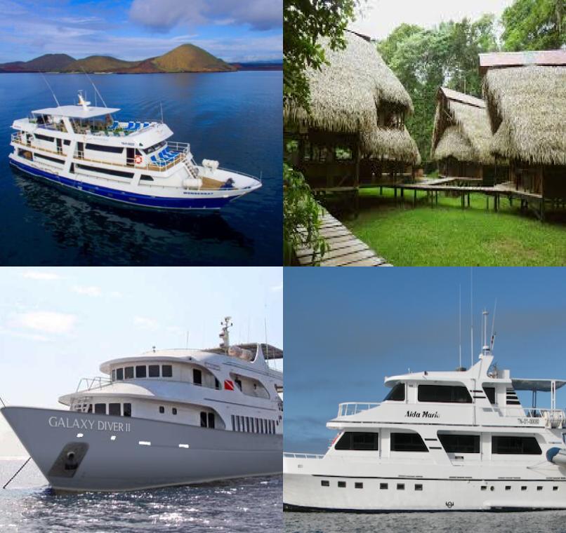 Galapagos Lastminutes & Jungle Tours