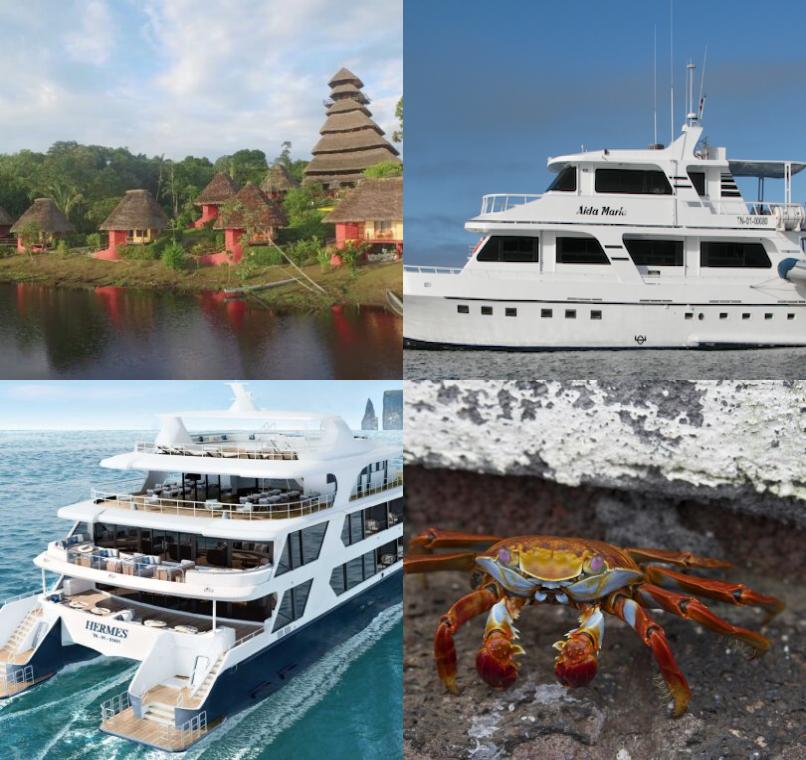 Galapagos Lastminutes & Jungle Tours