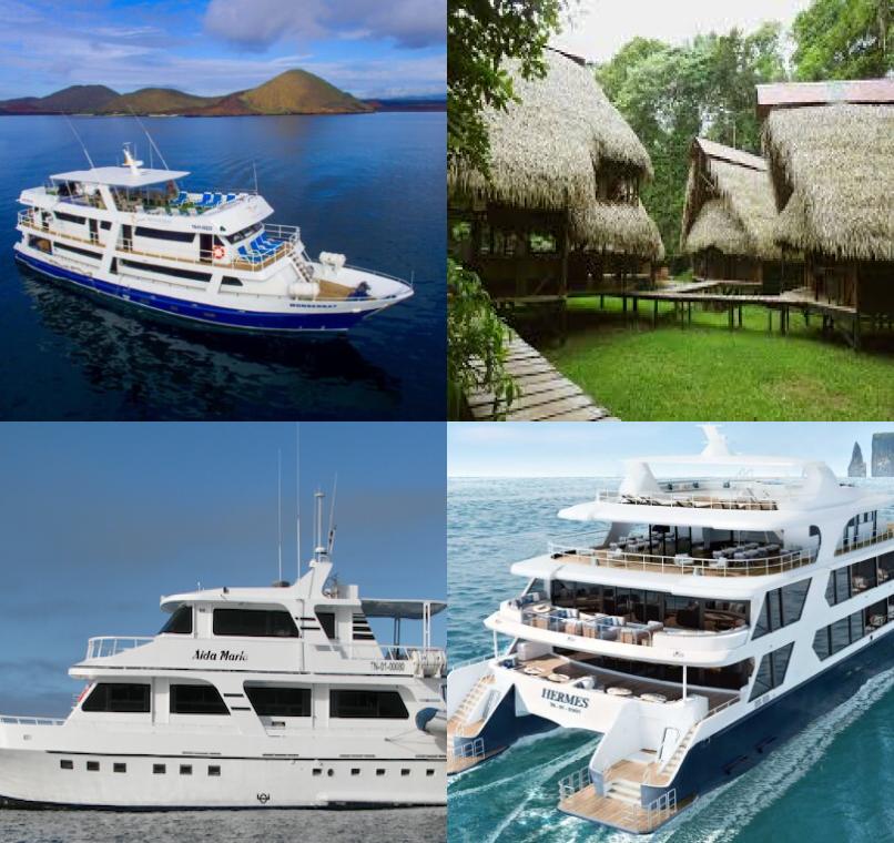 Galapagos Lastminutes & Jungle Tours