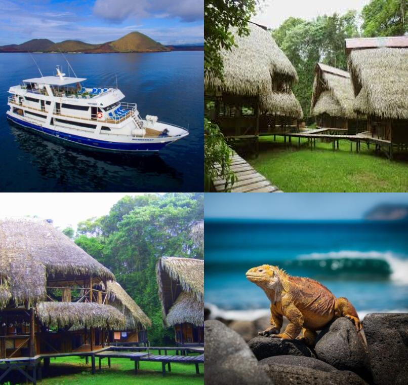 Galapagos Lastminutes & Jungle Tours