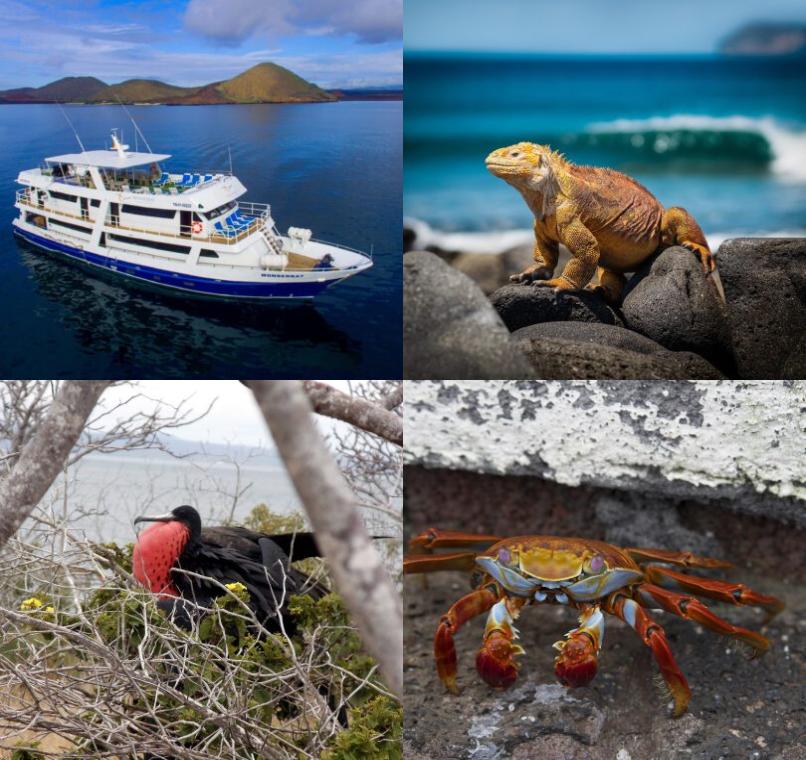 Galapagos Lastminutes & Jungle Tours