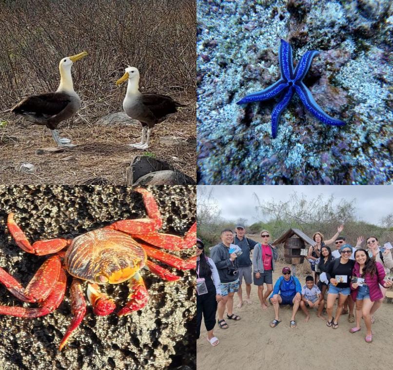 Galapagos Lastminutes & Jungle Tours