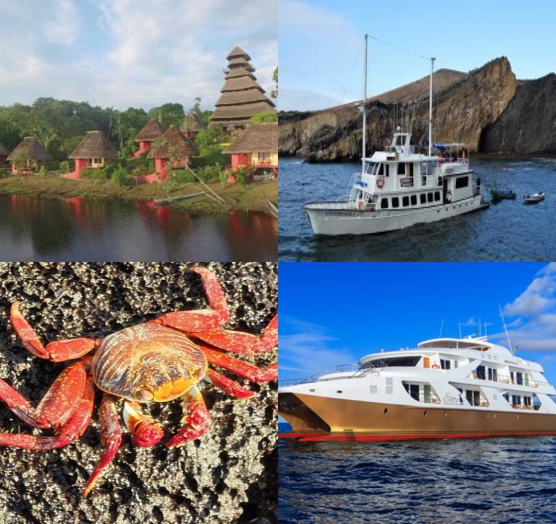 Galapagos Lastminutes & Jungle Tours