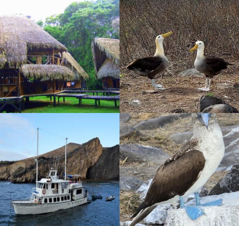 Galapagos Lastminutes & Jungle Tours