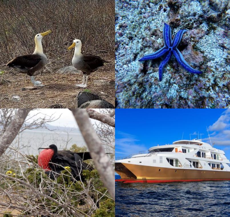 Galapagos Lastminutes & Jungle Tours