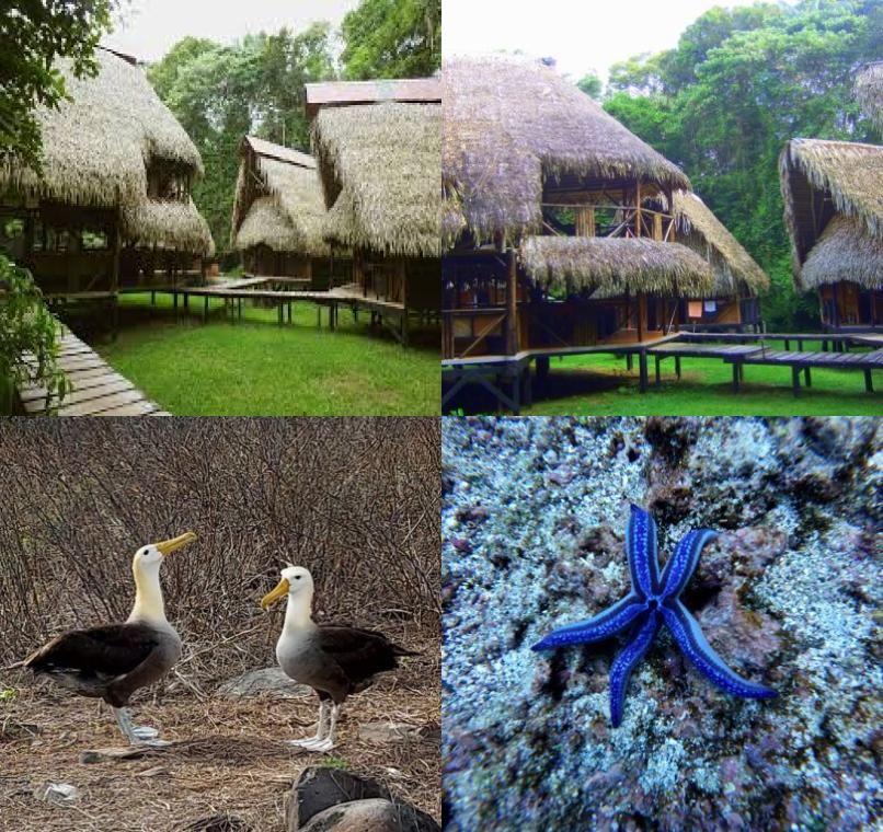 Galapagos Lastminutes & Jungle Tours