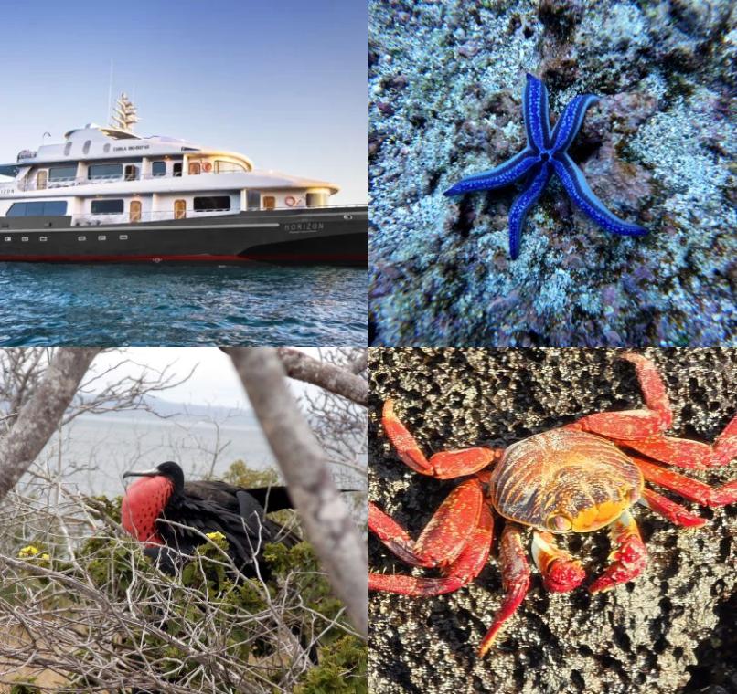 Galapagos Lastminutes & Jungle Tours