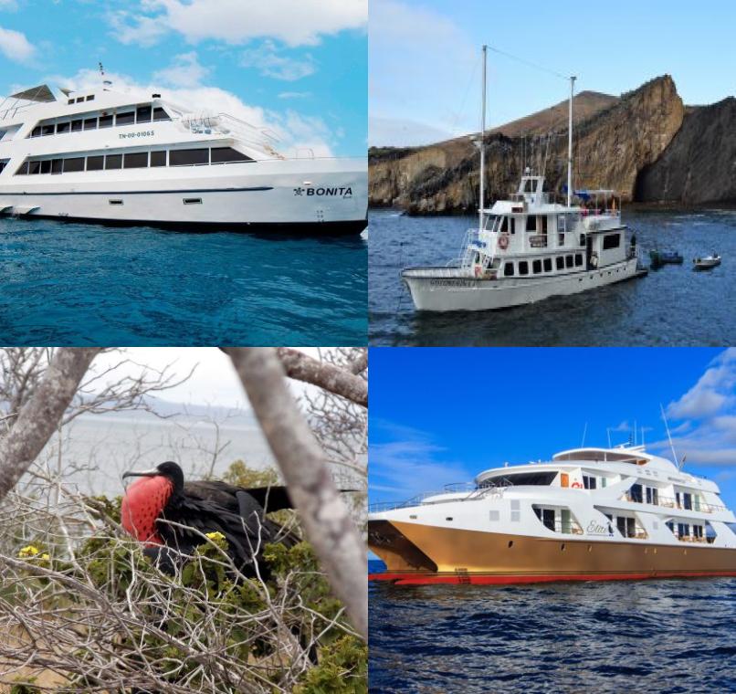 Galapagos Lastminutes & Jungle Tours