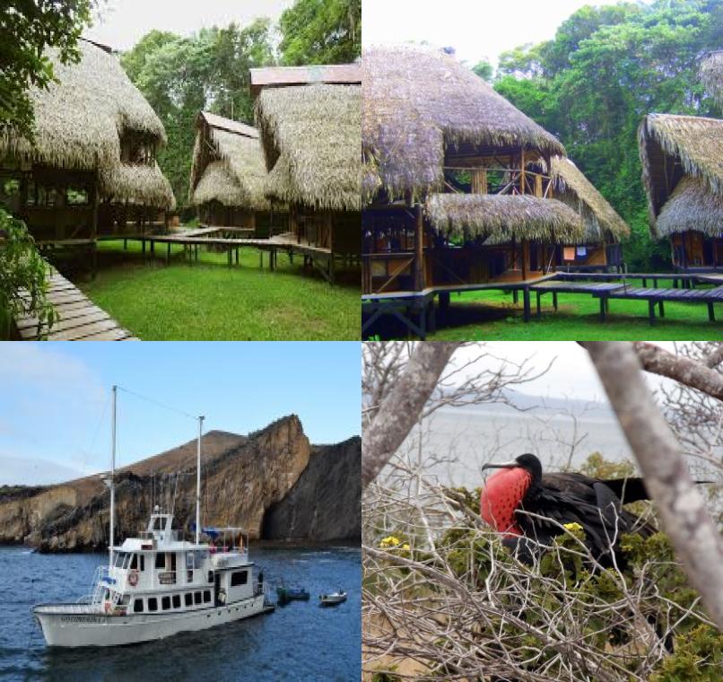 Galapagos Lastminutes & Jungle Tours