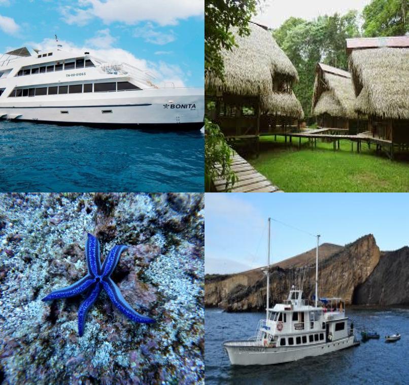 Galapagos Lastminutes & Jungle Tours