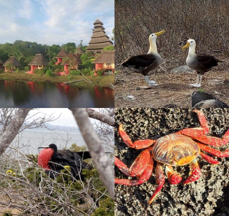 Galapagos Lastminutes & Jungle Tours