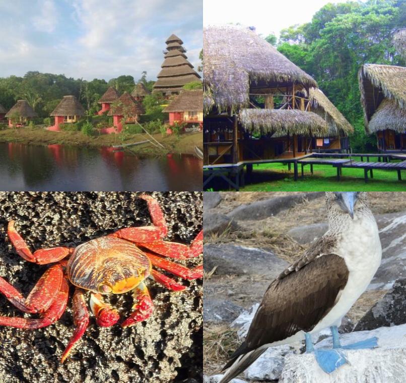 Galapagos Lastminutes & Jungle Tours