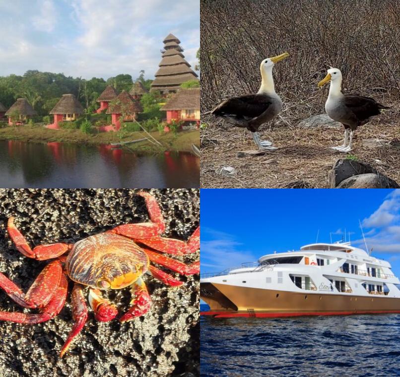 Galapagos Lastminutes & Jungle Tours