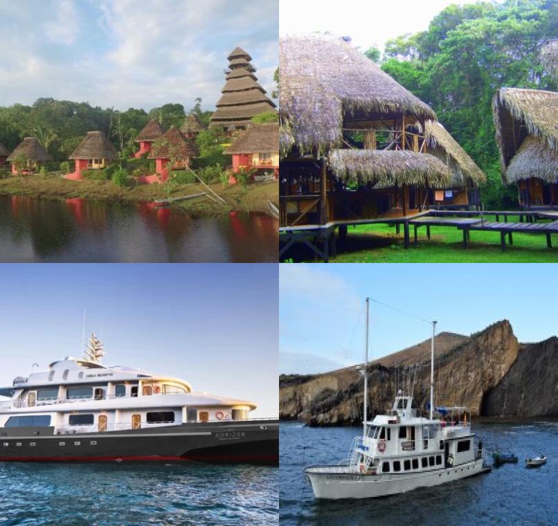 Galapagos Lastminutes & Jungle Tours