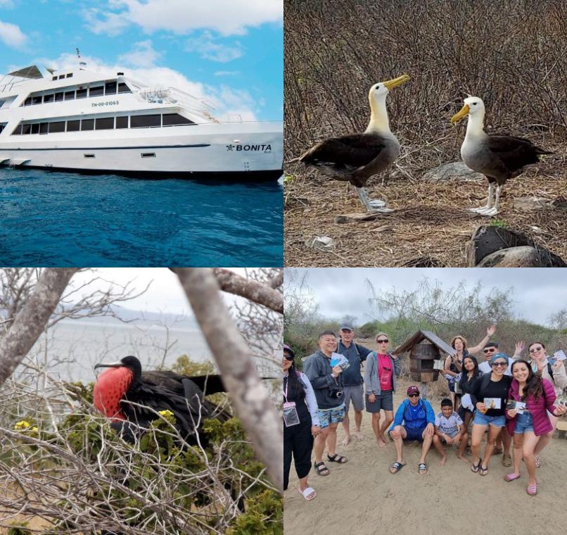 Galapagos Lastminutes & Jungle Tours