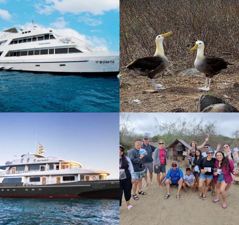 Galapagos Lastminutes & Jungle Tours