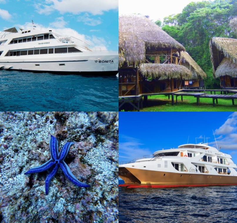 Galapagos Lastminutes & Jungle Tours