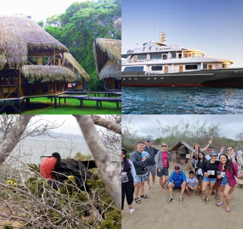 Galapagos Lastminutes & Jungle Tours