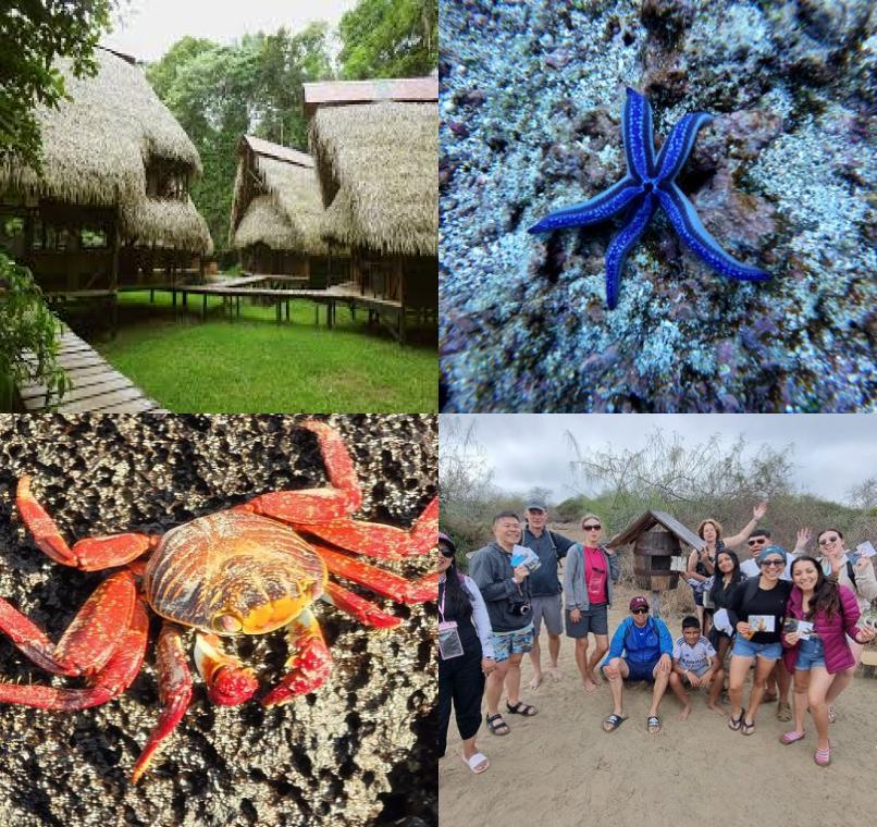 Galapagos Lastminutes & Jungle Tours