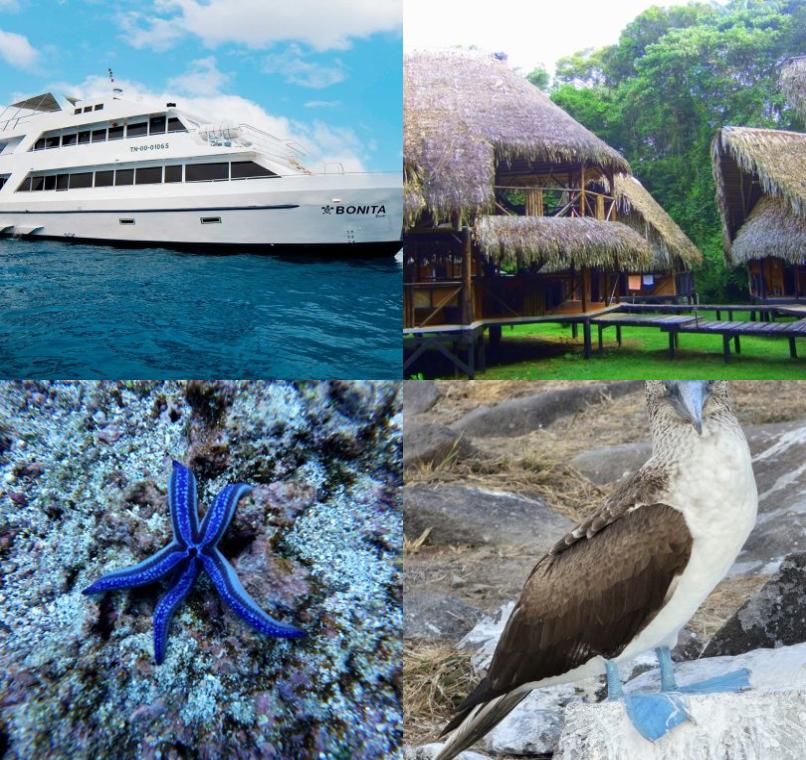 Galapagos Lastminutes & Jungle Tours