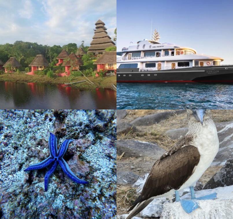 Galapagos Lastminutes & Jungle Tours