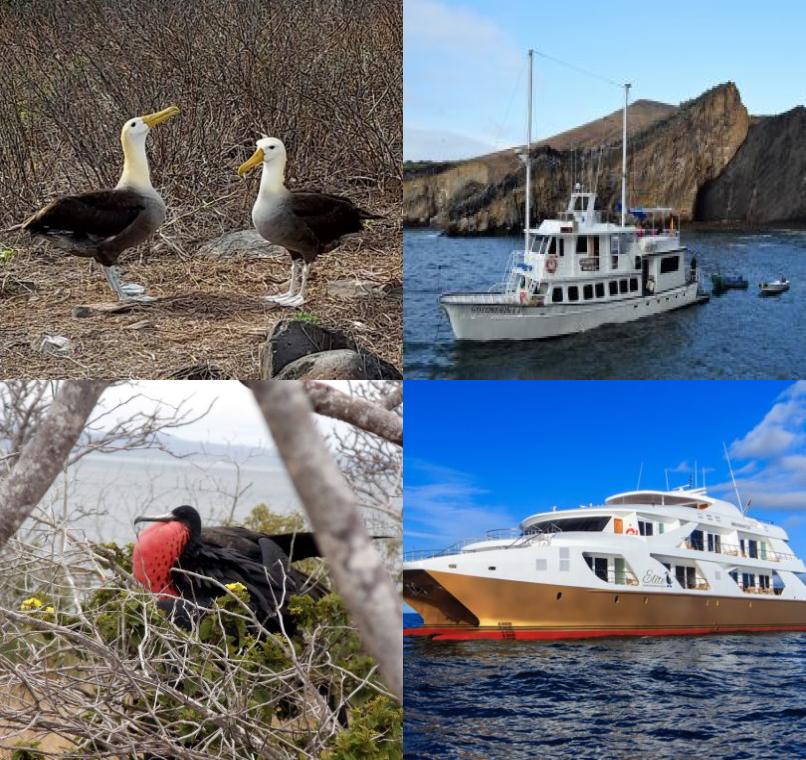 Galapagos Lastminutes & Jungle Tours