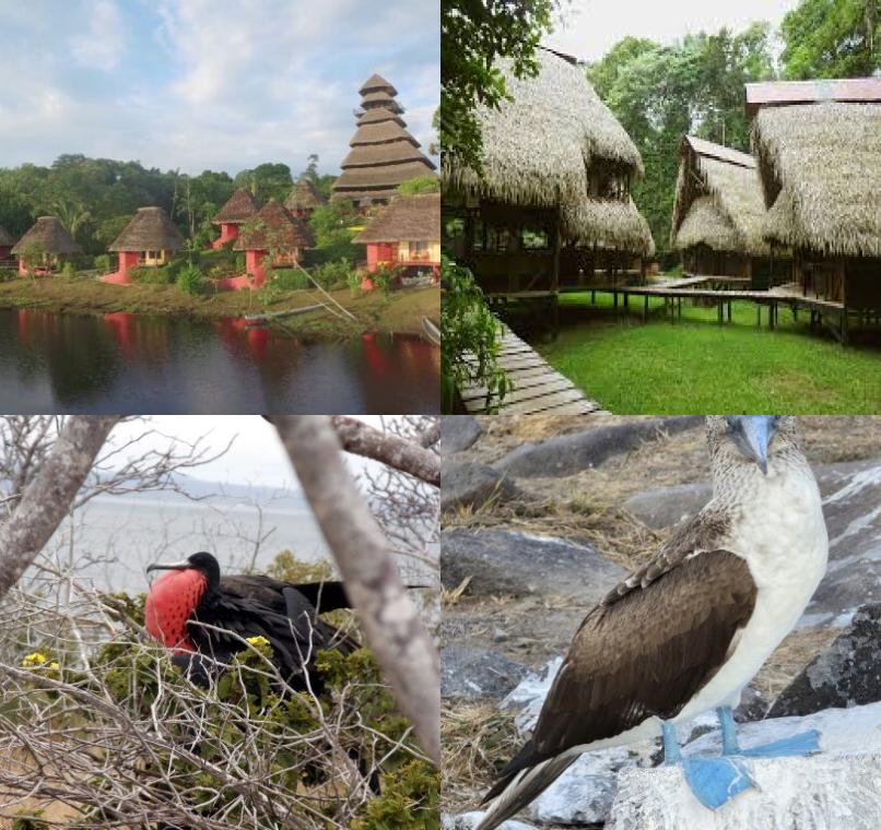 Galapagos Lastminutes & Jungle Tours