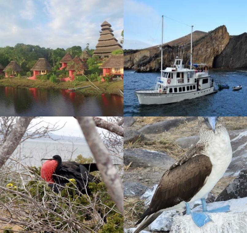 Galapagos Lastminutes & Jungle Tours