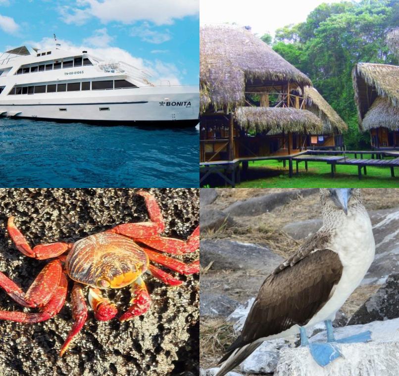 Galapagos Lastminutes & Jungle Tours