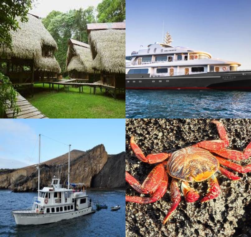 Galapagos Lastminutes & Jungle Tours