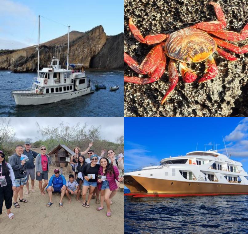 Galapagos Lastminutes & Jungle Tours
