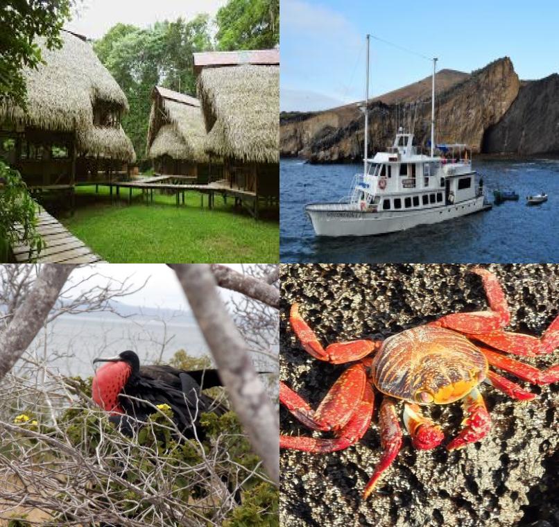 Galapagos Lastminutes & Jungle Tours