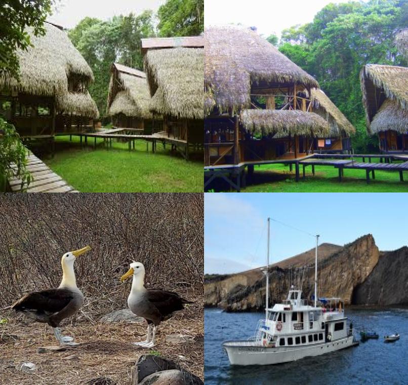 Galapagos Lastminutes & Jungle Tours