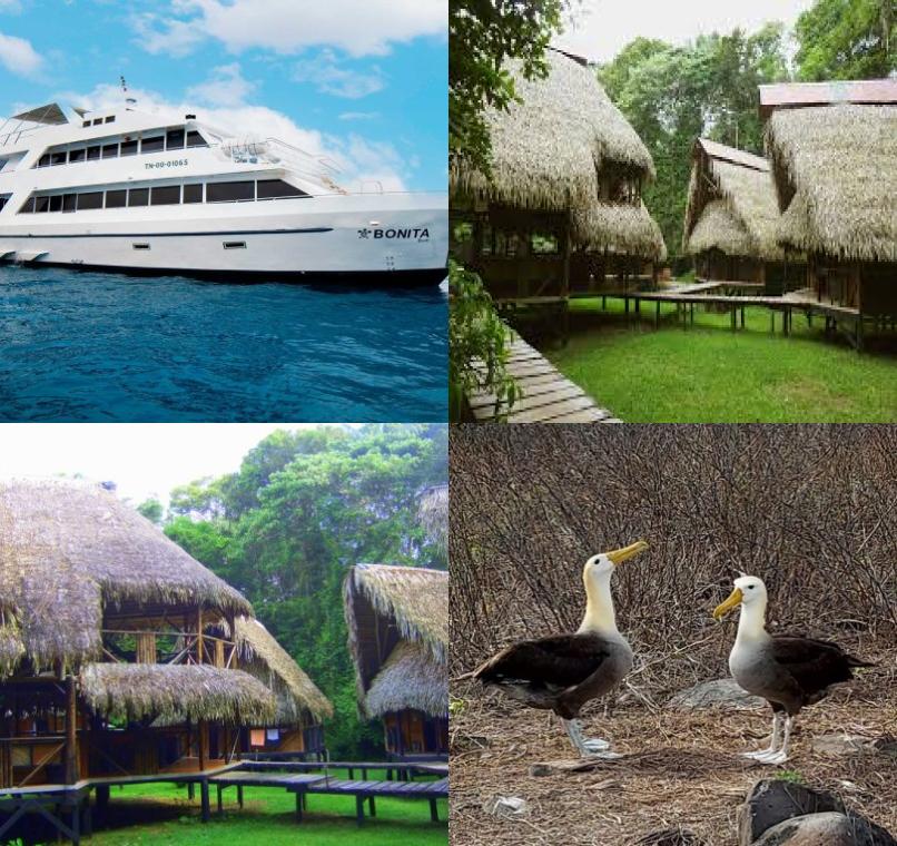 Galapagos Lastminutes & Jungle Tours