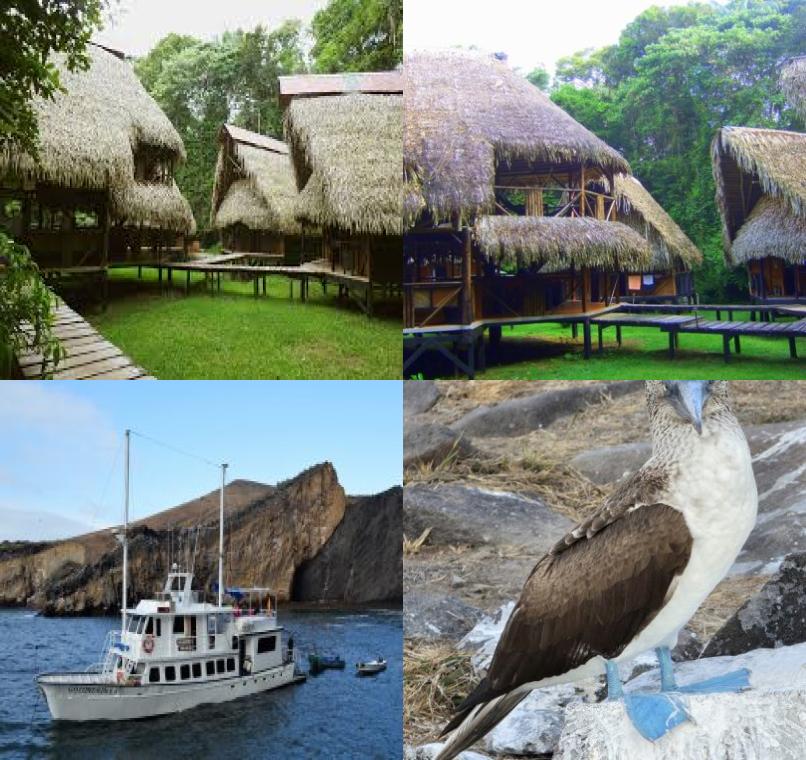 Galapagos Lastminutes & Jungle Tours