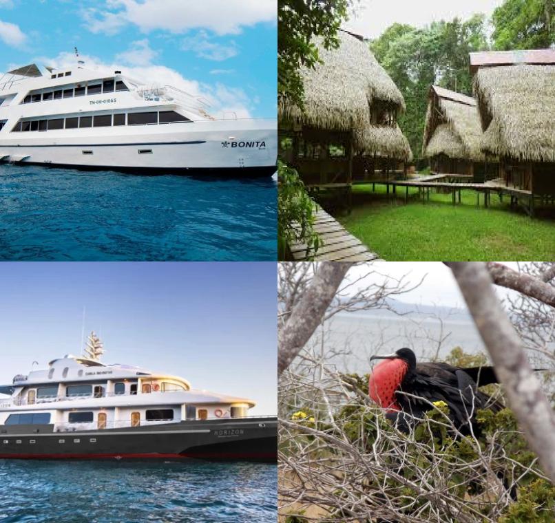 Galapagos Lastminutes & Jungle Tours