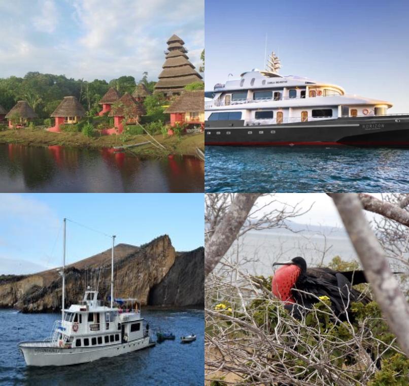 Galapagos Lastminutes & Jungle Tours
