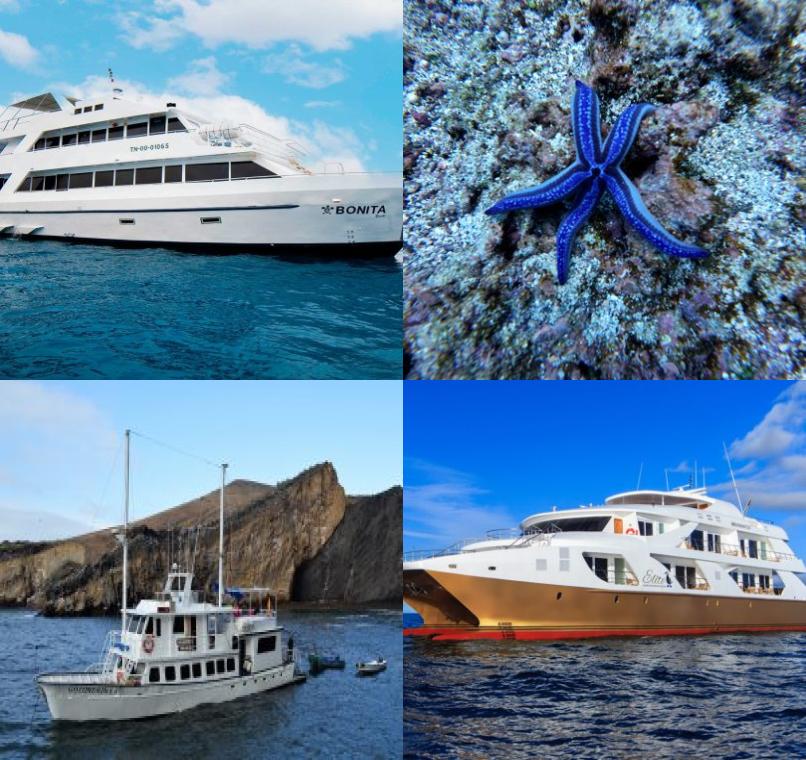 Galapagos Lastminutes & Jungle Tours