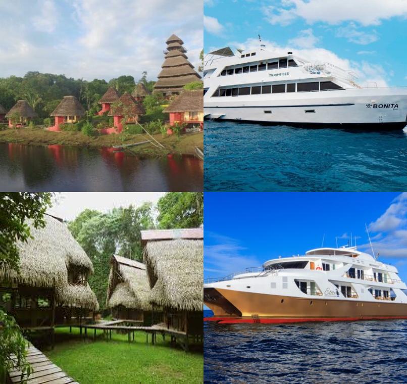 Galapagos Lastminutes & Jungle Tours