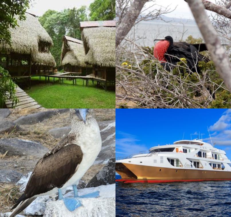 Galapagos Lastminutes & Jungle Tours