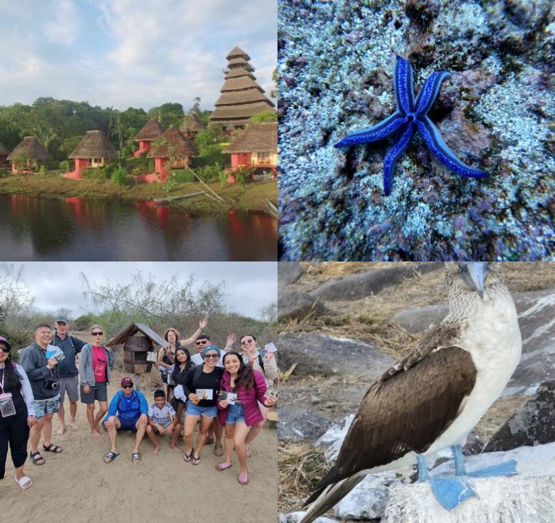 Galapagos Lastminutes & Jungle Tours