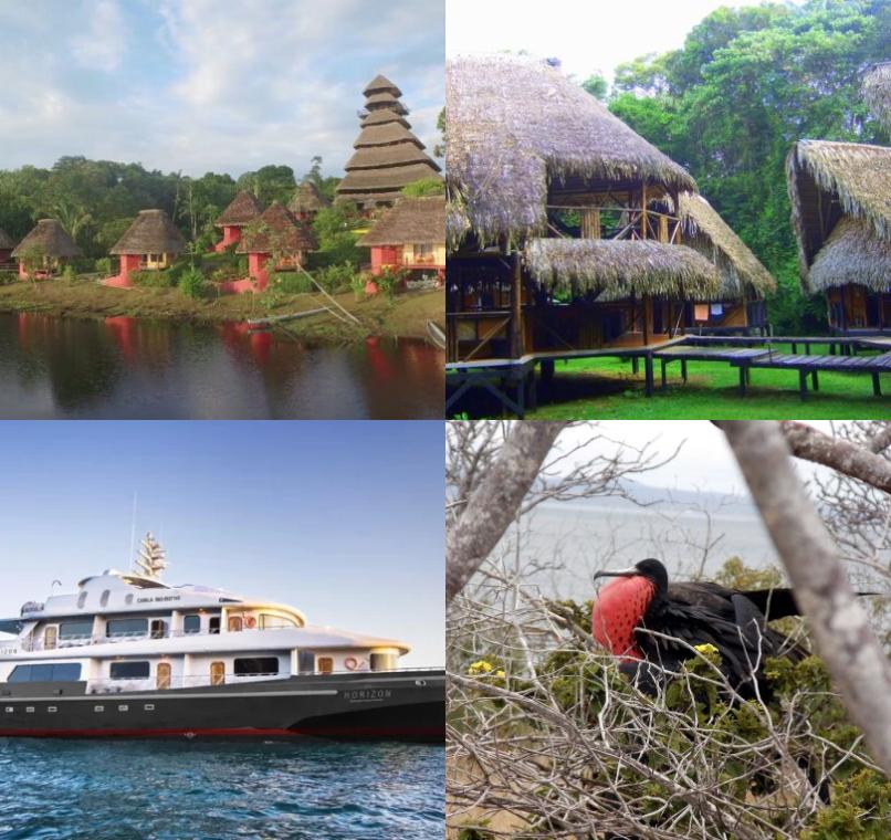 Galapagos Lastminutes & Jungle Tours