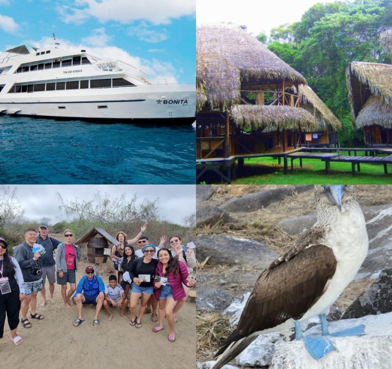 Galapagos Lastminutes & Jungle Tours